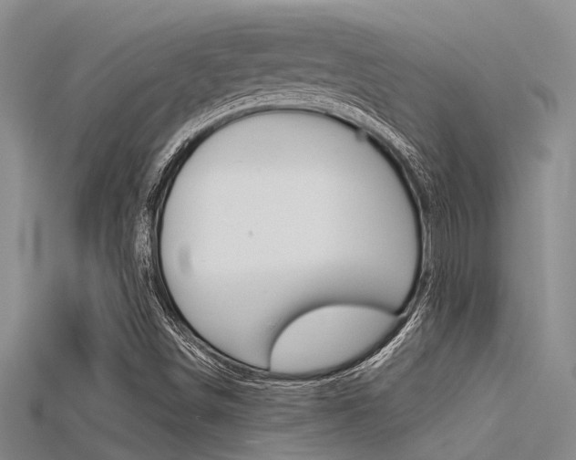 X0000115741498200911121051