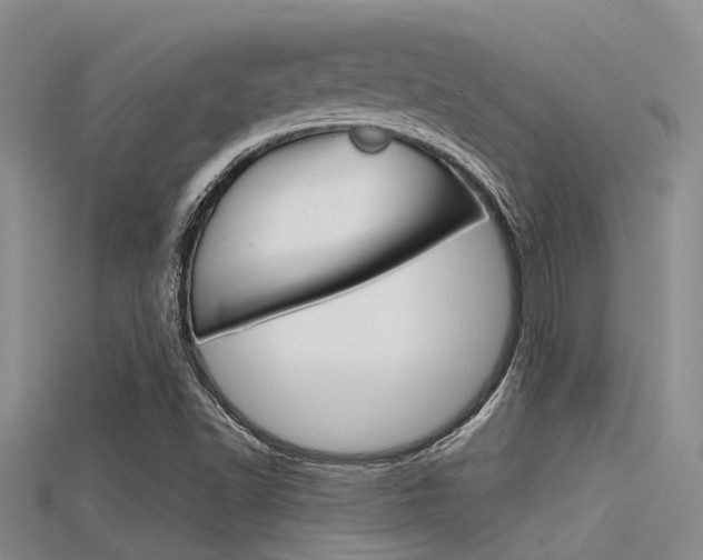 X0000115741502200911121051
