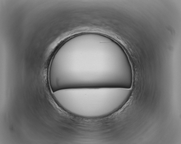 X0000115741503200911121051