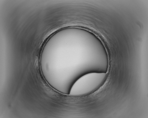 X0000115741505200911121051