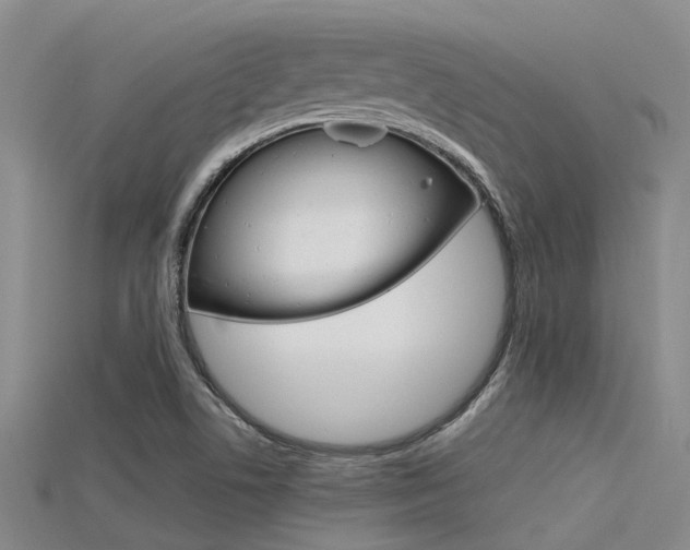 X0000115741506200911121051