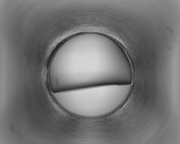 X0000115741507200911121051