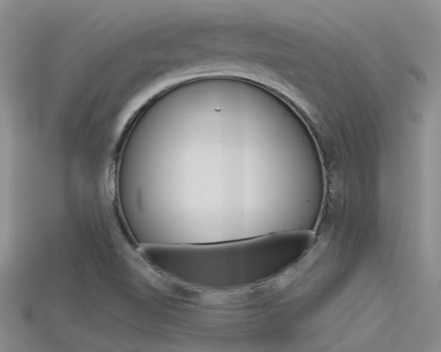 X0000115741510200911121051