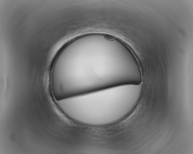 X0000115741511200911121051