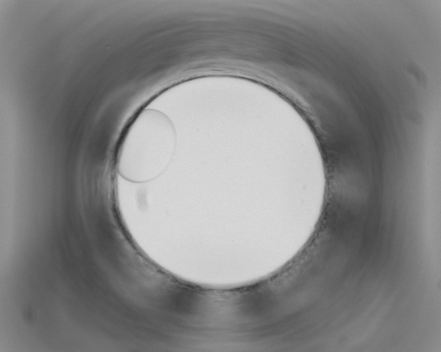 X0000115741514200911121051