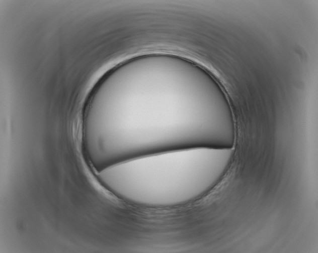 X0000115741515200911121051