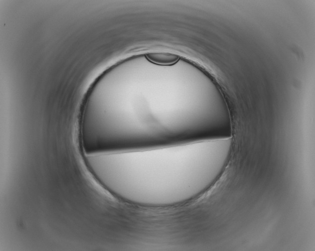 X0000115741518200911121051