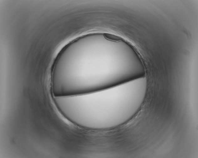 X0000115741519200911121052