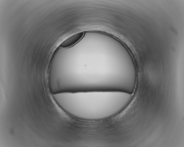 X0000115741521200911121052
