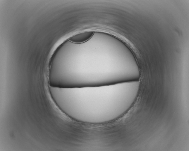 X0000115741522200911121052