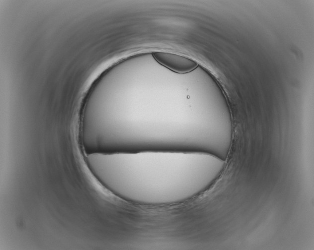 X0000115741523200911121052