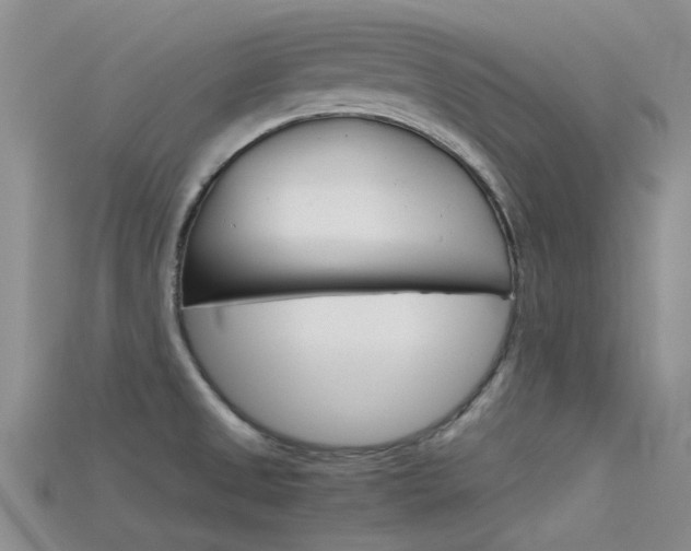 X0000115741525200911121052