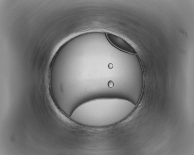 X0000115741526200911121052