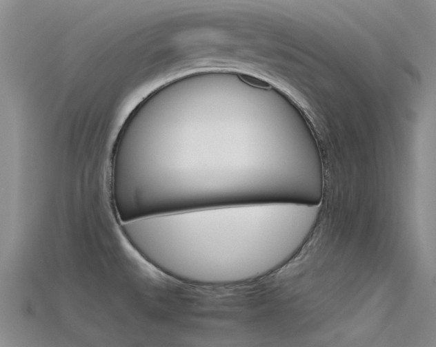 X0000115741527200911121052