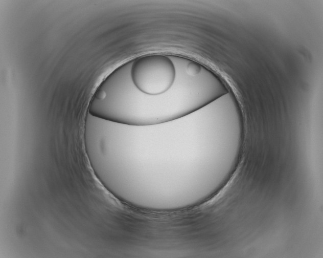 X0000115741529200911121052