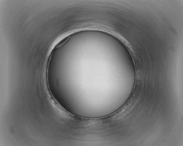 X0000115741530200911121052