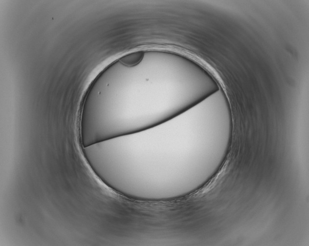 X0000115741533200911121052