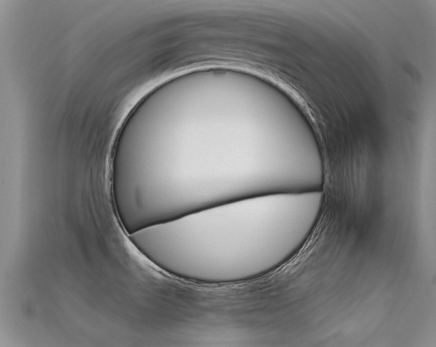 X0000115741535200911121052