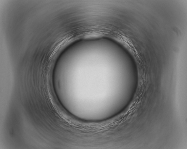 X0000115740001200911121547