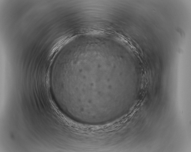 X0000115740002200911121547