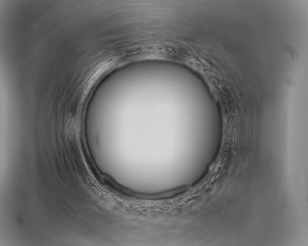 X0000115740003200911121547