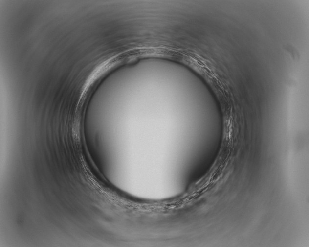 X0000115740004200911121547