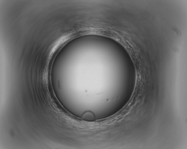 X0000115740006200911121546