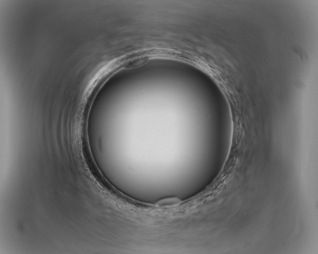 X0000115740007200911121546