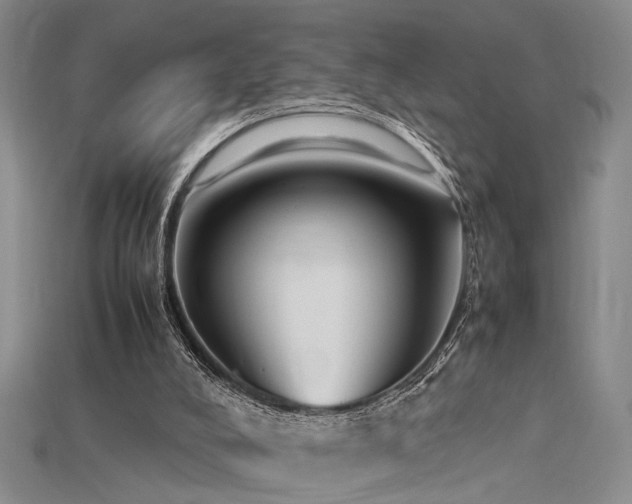 X0000115740008200911121546