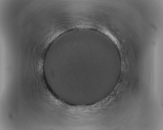 X0000115740009200911121546