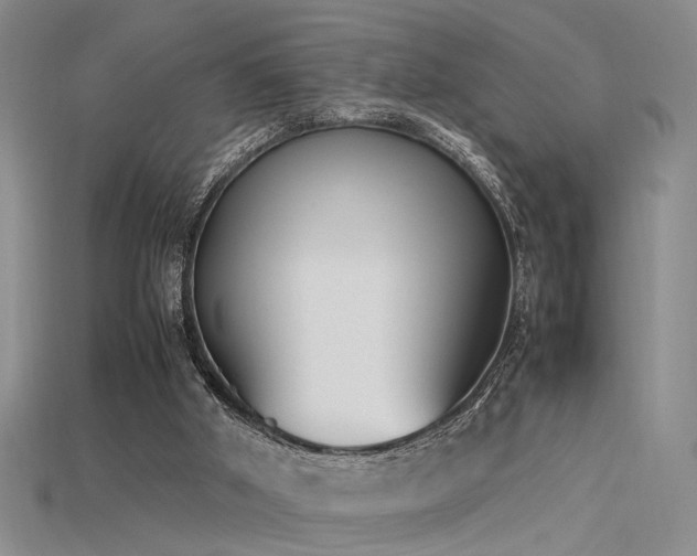 X0000115740010200911121546