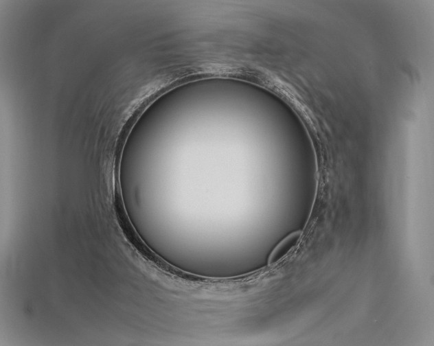 X0000115740011200911121546