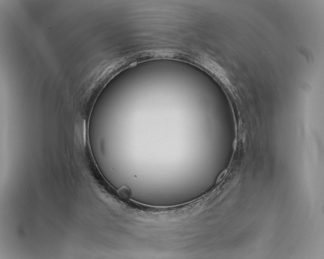 X0000115740013200911121546