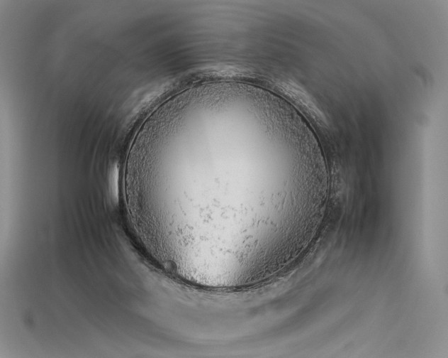 X0000115740014200911121546