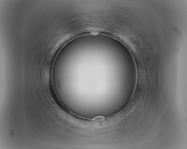 X0000115740015200911121546