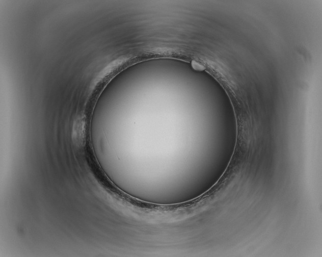 X0000115740016200911121546