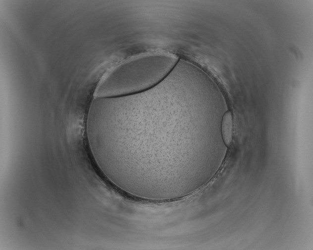 X0000115740017200911121546