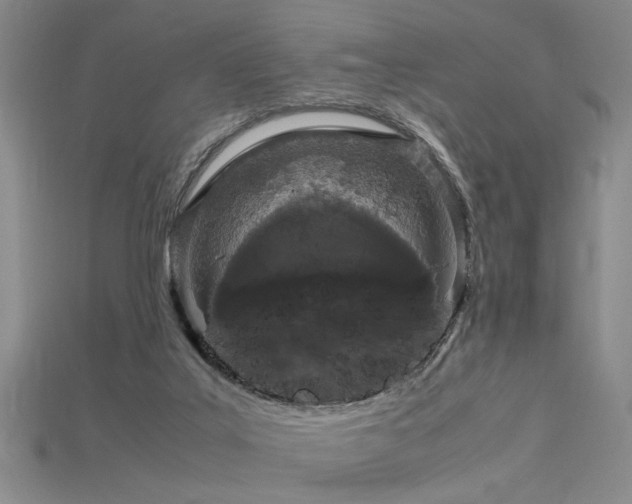 X0000115740019200911121546