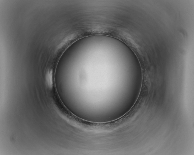 X0000115740020200911121546