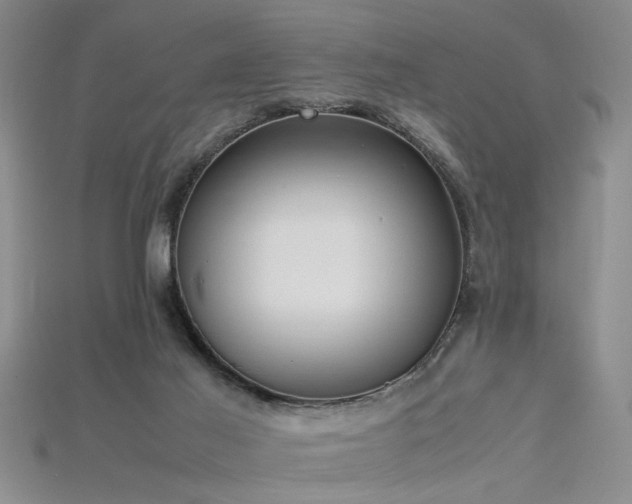 X0000115740021200911121546