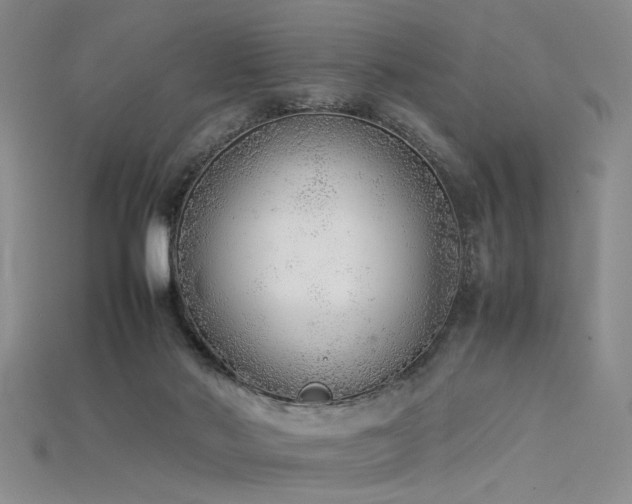 X0000115740022200911121546