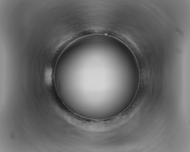 X0000115740024200911121546