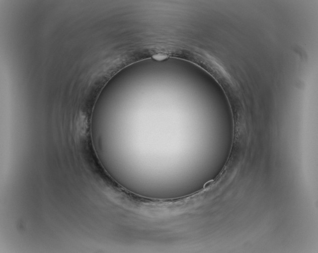 X0000115740025200911121546