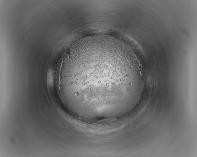 X0000115740026200911121546