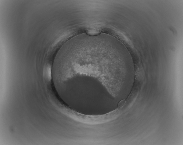 X0000115740027200911121546