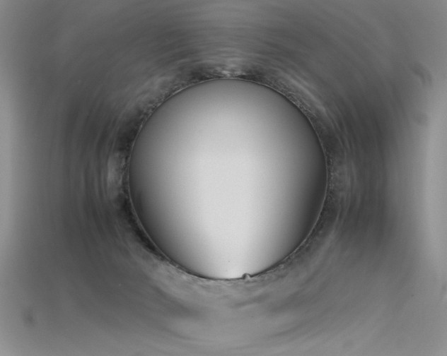 X0000115740030200911121546