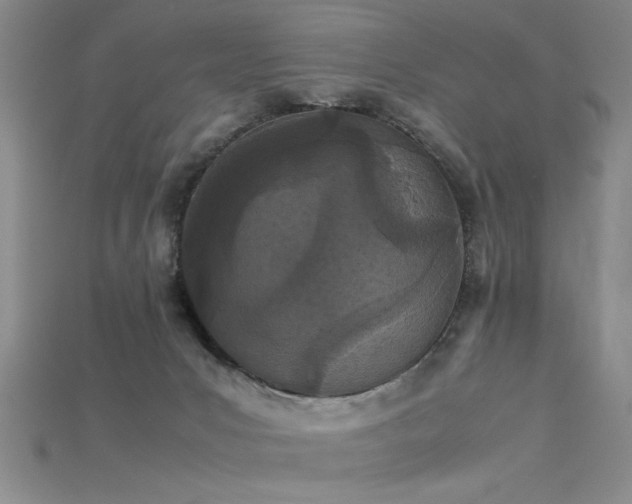 X0000115740031200911121546