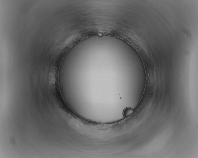 X0000115740032200911121546