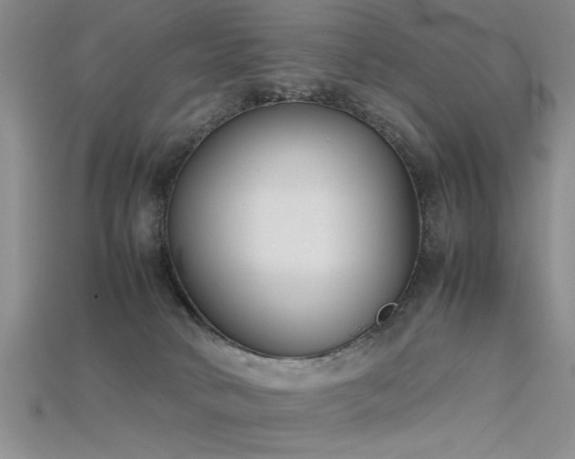 X0000115740034200911121546