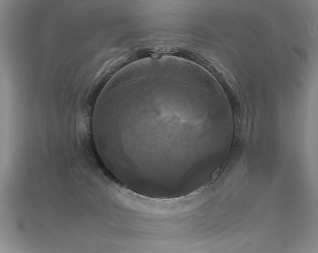 X0000115740035200911121546